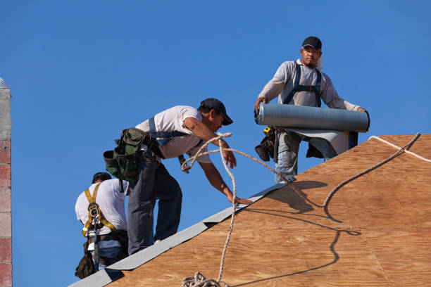 Best Gutter Installation and Roofing  in Circleville, OH